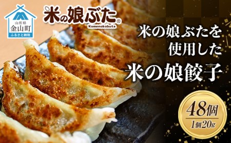 米の娘ぶたを使用した「米の娘ぎょうざ」(20g×48個) 餃子 ギョウザ 生餃子 焼き餃子 水餃子 豚肉 ブランド豚 ニラ 冷凍  金山町 F4B-0220