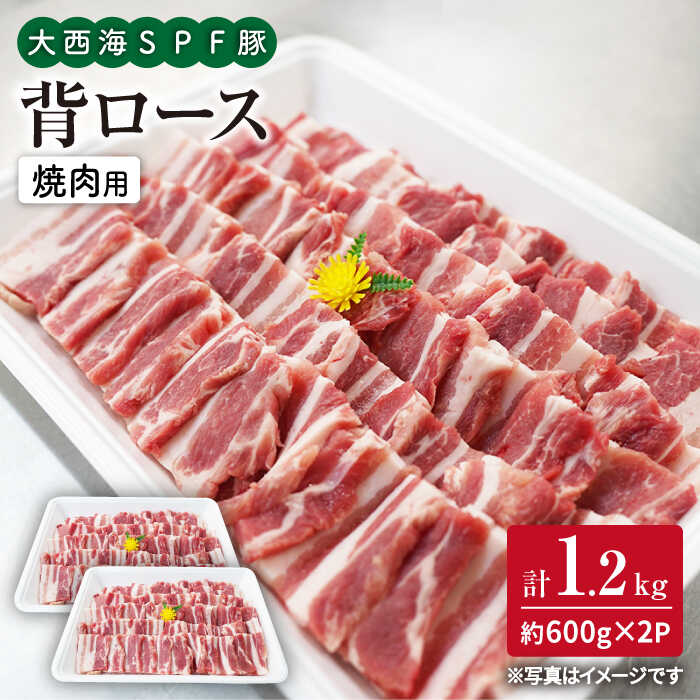【ふるさと納税】【焼肉革命】大西海SPF豚 背ロース 焼肉用 計1.2kg（約600g×2パック） 訳あり ＜大西海ファーム＞ [CEK038] 焼肉 背ロース肉 肉 食品 肉類 国産 豚肉 ロース こだわり 焼肉 BBQ 国産 SPF豚 贈答