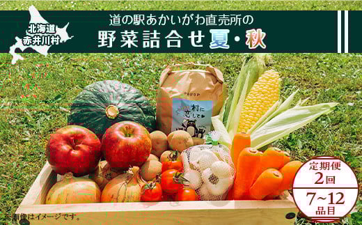 
            【定期配送】道の駅あかいがわ直売所の野菜詰合せ（夏８月・秋９月：計２回）
          
