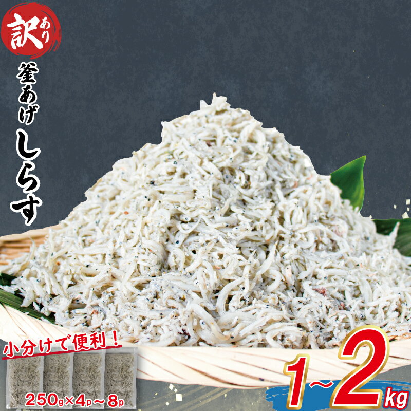 【ふるさと納税】 訳あり 釜揚げ しらす 1kg / 2kg 不揃い しらす干し ごはんのお供 おつまみ 酒の肴 小分け 便利 おかず しらす丼 お米 グルメ 食品 冷凍 魚 海鮮 海産物 食品 お取り寄せ 手軽 時短 ピザ パスタ 10000円 人気 おすすめ 愛媛県 松山市