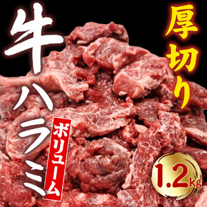 【ふるさと納税】創業明治22年！老舗のあんどう醤油とたれを共同開発！　旨タレ 厚切りハラミ　ササハラ　焼肉　BBQ 肉厚 肉 牛ハラミ 焼くだけ 簡単 送料無料 香川県　三豊市　パーティー　ふるさと納税オリジナル　味付け肉 柔らかい 牛肉 訳あり 訳アリ