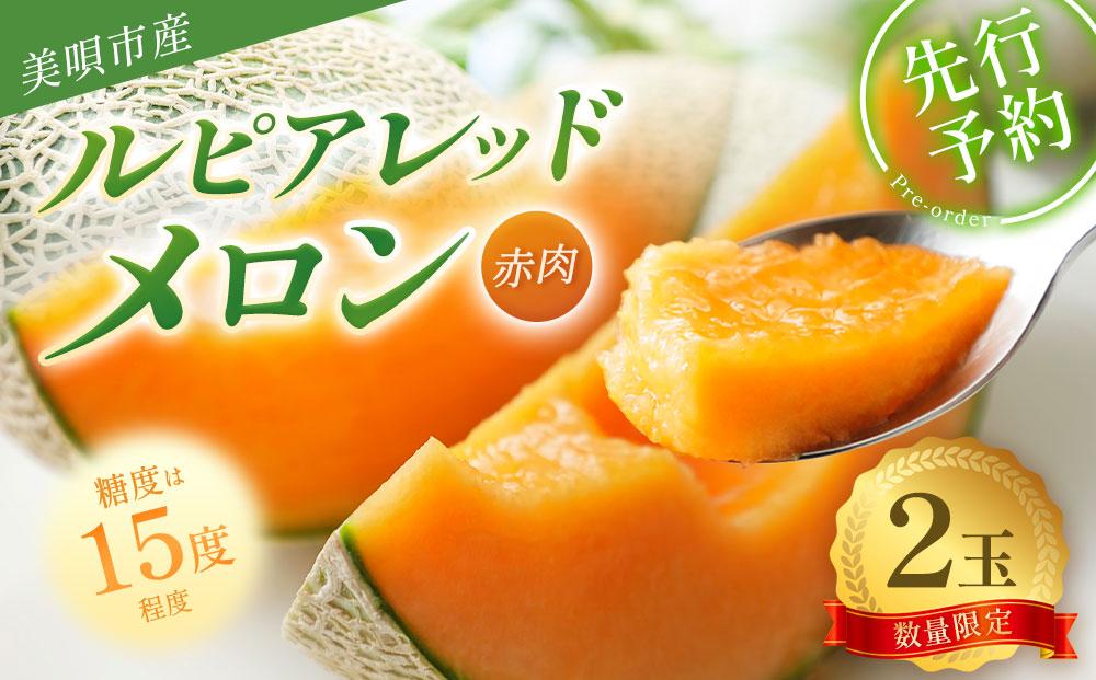 【2025年発送】【先行予約】【数量限定】美唄市産ルピアレッドメロン２玉（赤肉）