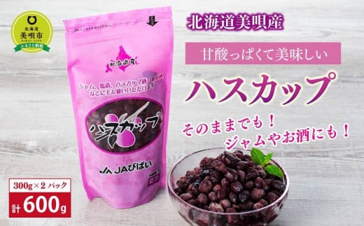 
北海道美唄産ハスカップ（600g）
