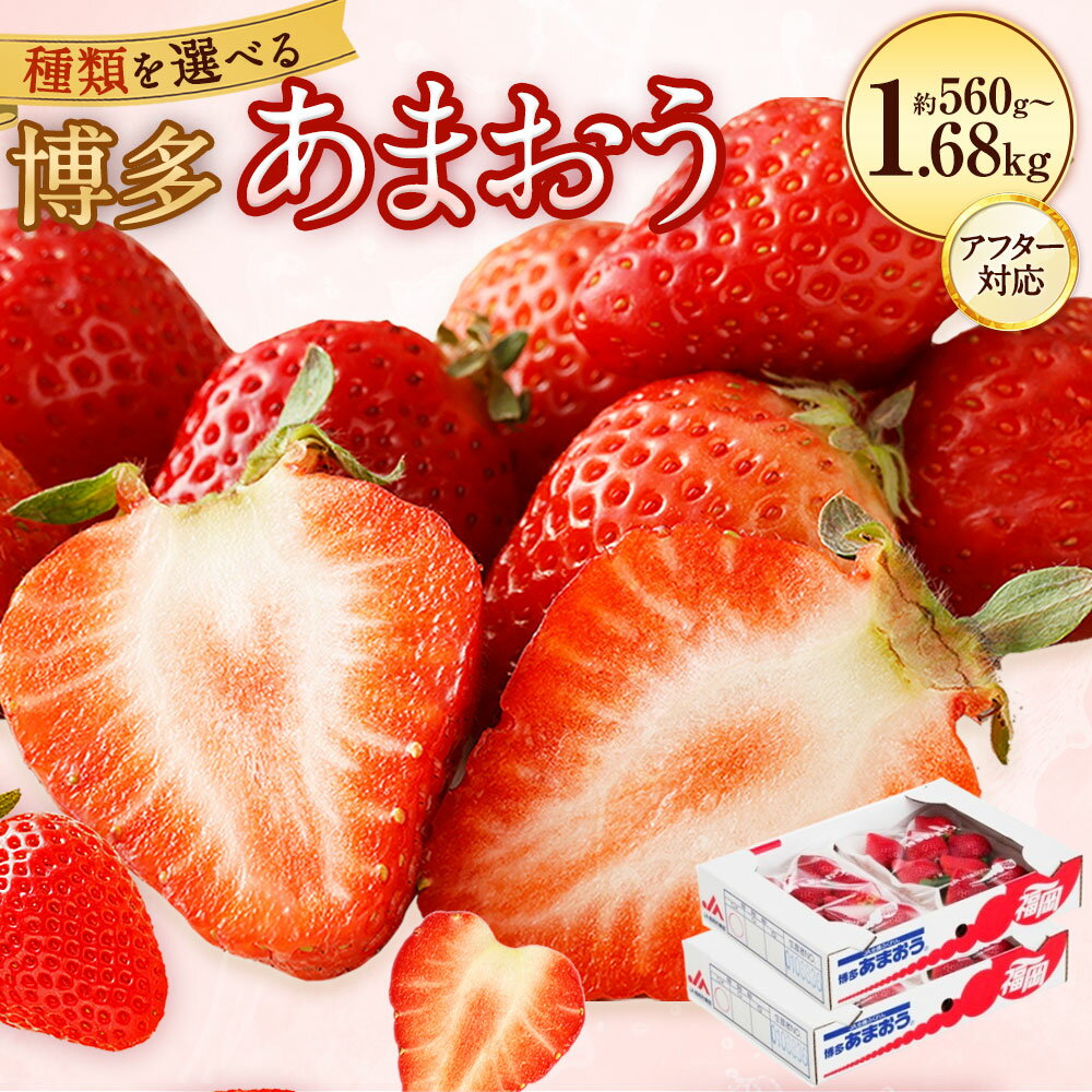 【ふるさと納税】【アフター対応】 ＜選べる＞ 博多 あまおう 合計約560g～1.68kg 約280g×2～6パック DX上級品 苺 いちご イチゴ フルーツ 果物 くだもの 国産 九州 福岡県産 岡垣町 冷蔵 先行予約 送料無料 【2025年12月上旬より順次発送予定】