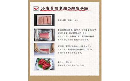 本マグロ（養殖）トロ＆赤身セット 500g　（串本町×北山村） まぐろ マグロ 鮪 中トロ 赤身 柵 【nks110】