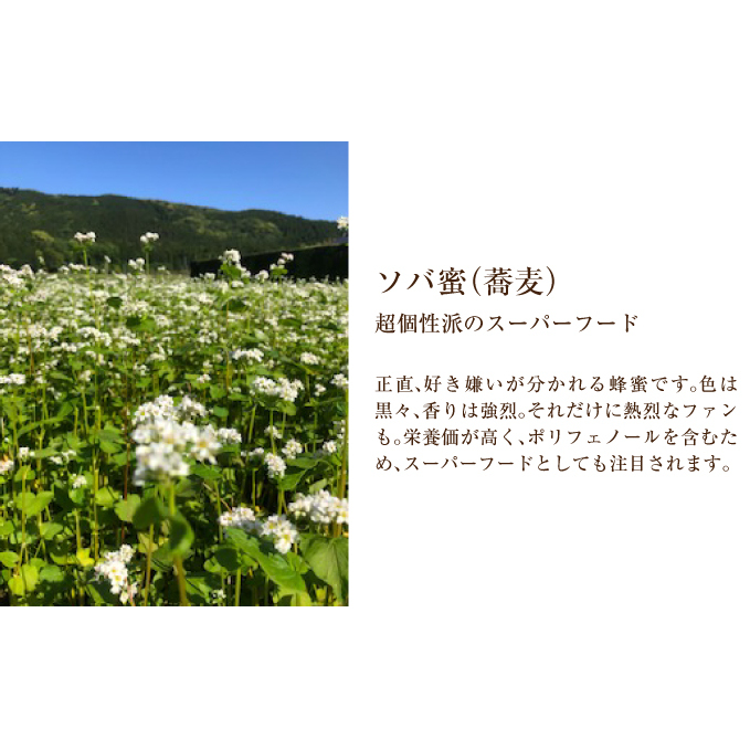 北海道美深産 天然はちみつ600g（瓶）［そば］_イメージ2