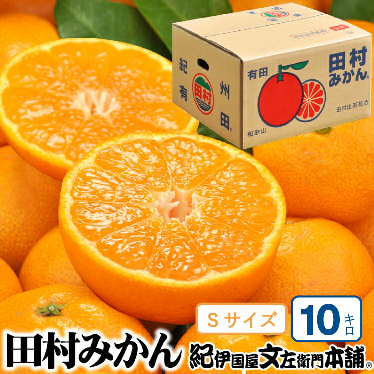 【ふるさと納税】 田村みかん 特選ギフト品 10kg【Sサイズ】赤秀/紀州和歌山有田郡湯浅町田村地区産 ◆2025年11月下旬～2026年1月中旬頃に順次発送(お届け日指定不可) 紀伊国屋文左衛門本舗