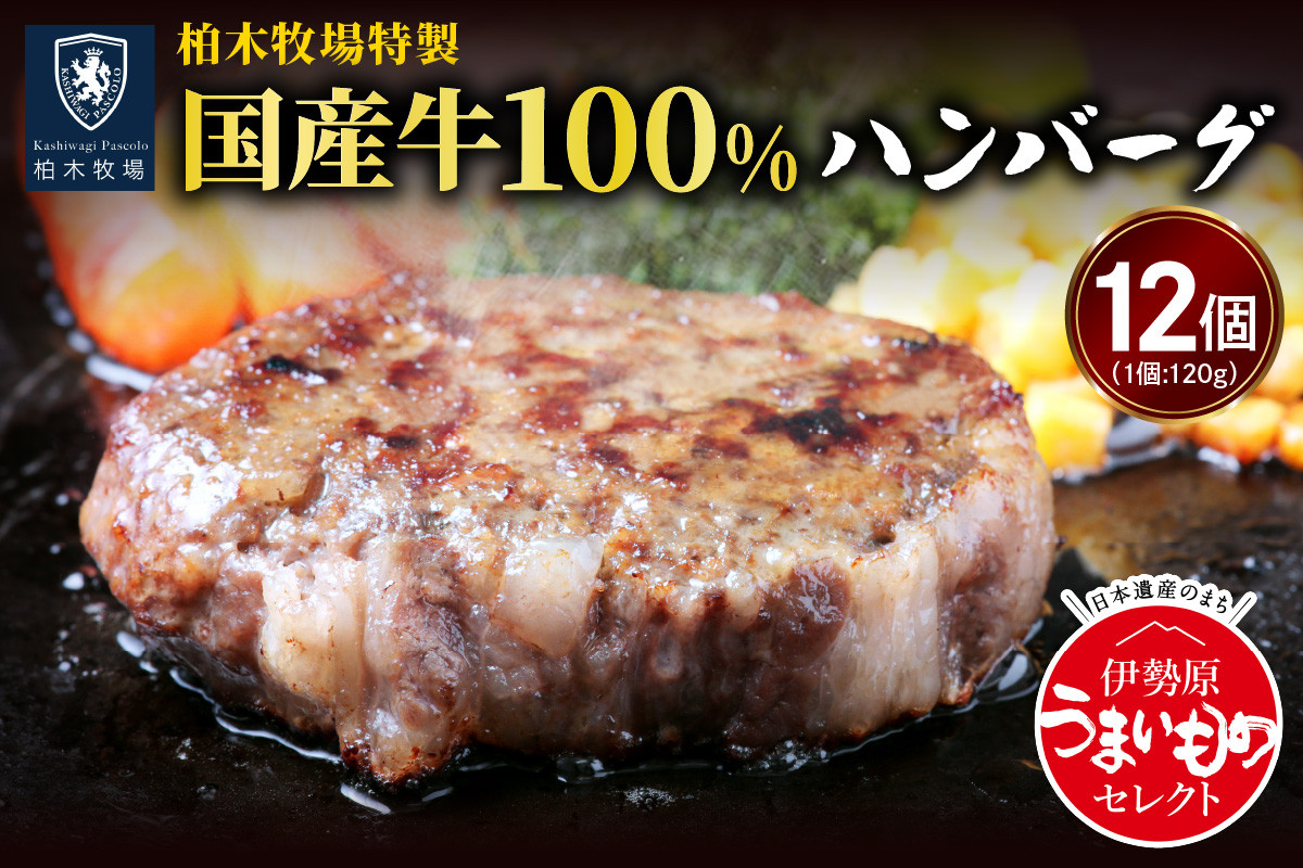 
[ジュワッと肉汁まで美味い！] 柏木牧場特製 国産牛100%ハンバーグ (120g×12個) [0067] 伊勢原市 牛肉 特製 ギフト 神奈川県 贈り物 人気 お土産 正月 肉の日 バーベキュー パーティ 冷凍便 惣菜 肉 焼くだけ
