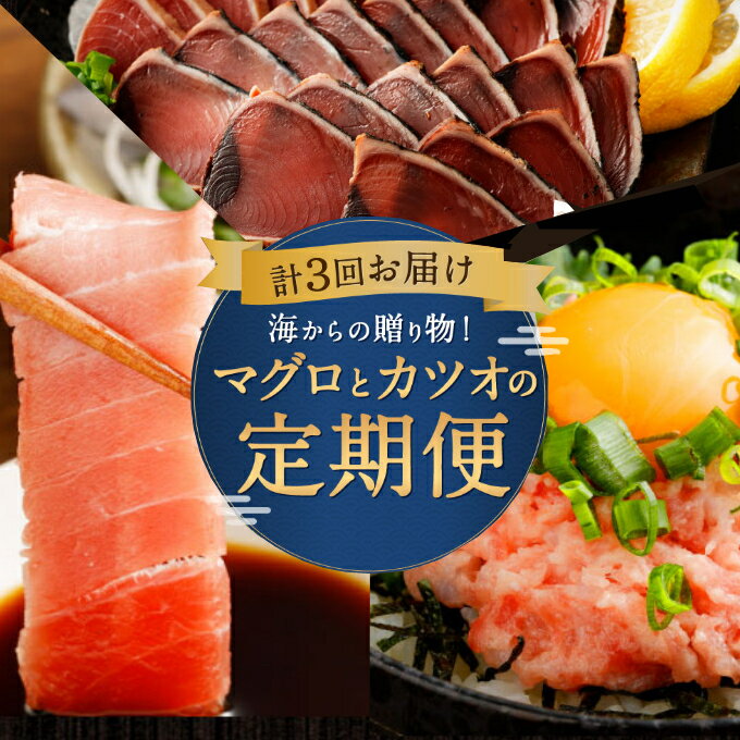 【ふるさと納税】 3回定期便 海からの贈り物 マグロとカツオの定期便 まぐろ カツオのたたき ネギトロ 中トロ 刺身 海鮮 鰹 冷凍 魚 海産物 魚介類 高知県 まぐろたたき 鮪 藁焼き わら焼き 訳あり 不揃い 傷 規格外 刺し身 漬け丼 海鮮 故郷納税 送料無料 高知県 室戸市