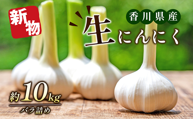 
            [№4631-2208]生にんにく（新物）約10kg
          