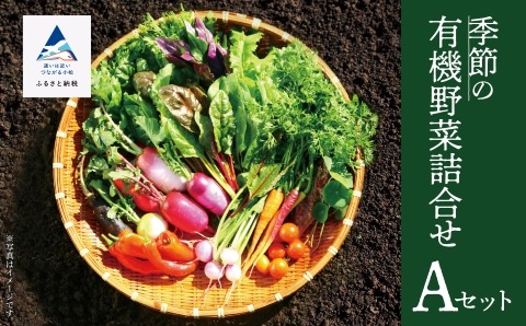 西田農園　季節の有機野菜詰合せ　Aセット 010001