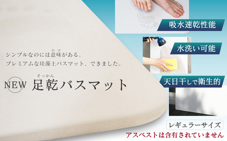 「NEW 足乾（そっかん）バスマット　レギュラーサイズ」珪藻土 足拭きマット 浴室マット バス用品