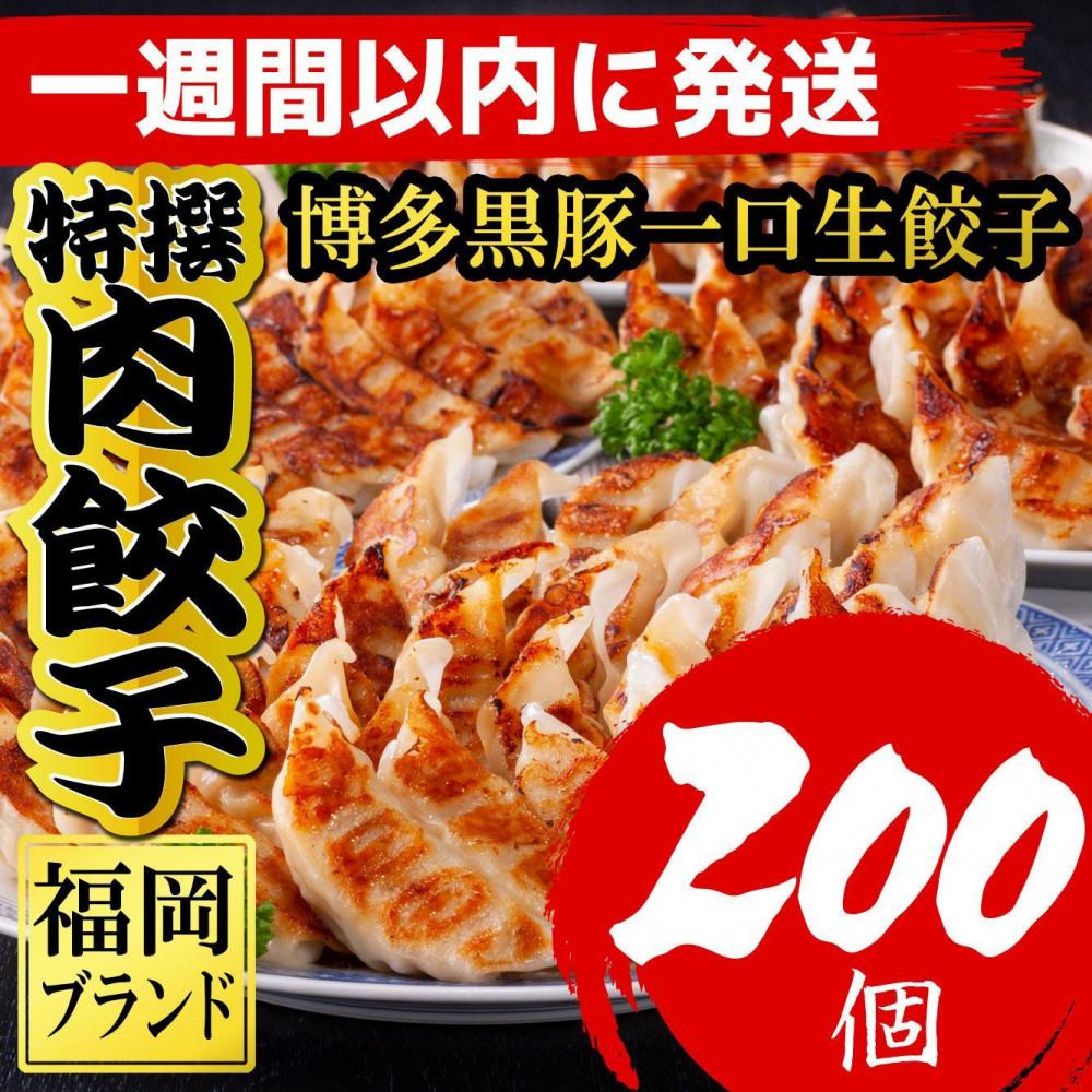 博多黒豚一口生餃子 200個入 (8パック) 冷凍便