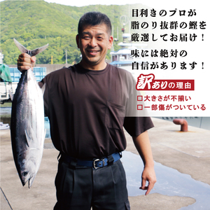訳あり かつお たたき 2.3kg 10000円 訳あり カツオ サイズ 不揃い カツオ 訳あり カツオ 規格外 訳あり かつお 傷 訳あり カツオ 小分け 訳あり カツオ 真空 パック 訳あり カツ