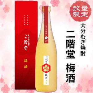 【数量限定】二階堂 梅酒 (化粧箱入り) AG42_大分むぎ焼酎 二階堂 麦焼酎 焼酎 酒 梅酒_【1291923】