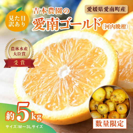 見た目だけが訳あり！吉本農園の木取り完熟愛南ゴールド（河内晩柑）約5kg＜柑橘 希少 果物 国産 フルーツ みかん 蜜柑 訳あり 家庭用 和製 グレープフルーツ ブランド 果実 ビタミン 愛媛県 鬼北町 ＞