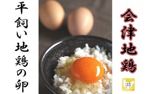 【ふるさと納税】33-G　【卵かけご飯セット〜山塩たれ付き〜】　平飼い会津地鶏の卵45個、卵かけご飯用山塩タレ20個※沖縄・離島への配送不可※2023年11月頃より順次発送予定