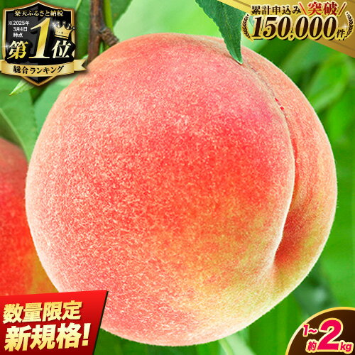 先行予約 桃 もも 和歌山県産 約2kg