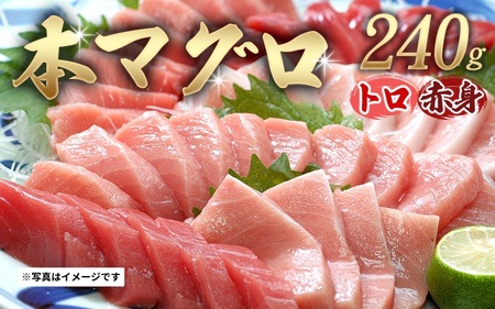 本マグロ（養殖） トロ＆赤身セット 240g 【１ヶ月以内に順次発送】☆北山村人気No1☆ | まぐろ マグロ 本マグロ 鮪 中トロ 赤身 柵 刺身 お刺身 人気 海鮮 海産物 鮮魚 魚 じゃばらまぐろ まぐろ丼【nks113】