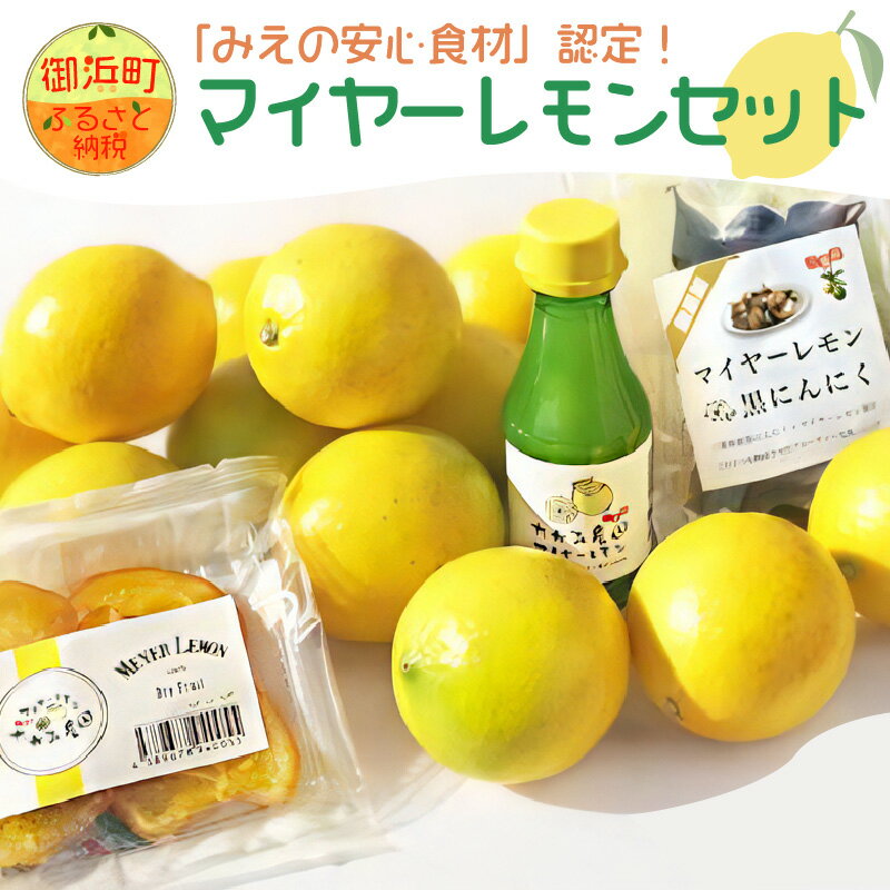 【ふるさと納税】【高評価★5.00 高レビュー★】たかみ農園 マイヤーレモンセット 詰め合わせ セット 国産【「みえの安心食材」認定！マイヤーレモンのセット！酸味がまろやかで、フルーティーな後味が特徴です。ノーワックス ノー防腐剤】