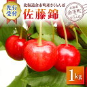【ふるさと納税】【2025年7月上旬発送分 先行予約】さくらんぼ ( 佐藤錦 ) 1kg 北海道 余市 余市町農業協同組合 フルーツ デザート 果物 季節限定 グルメ とれたて 甘み 鮮やかな紅色 冷蔵 お取り寄せ 北海道 余市町 送料無料