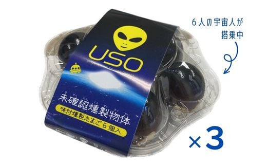 
No.2586未確認燻製物体 USO（味付燻製たまご）
