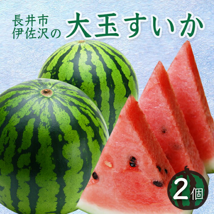 【ふるさと納税】【2025年7月〜8月発送分先行受付】長井市伊佐沢の大玉すいか約8〜11kg×2玉_H054(R7)