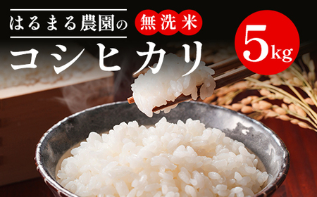 【先行予約】令和7年産新米 はるまる農園のコシヒカリ 無洗米 5kg  ／ 無洗米 無洗米 無洗米 無洗米 FCCN006