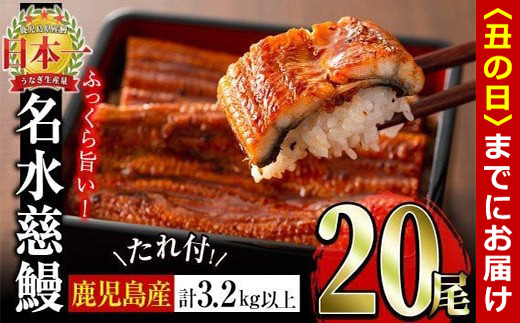 
鹿児島県産うなぎ蒲焼 名水慈鰻 20尾(1尾約160g)＜計約3.2kg＞ wa4-001
