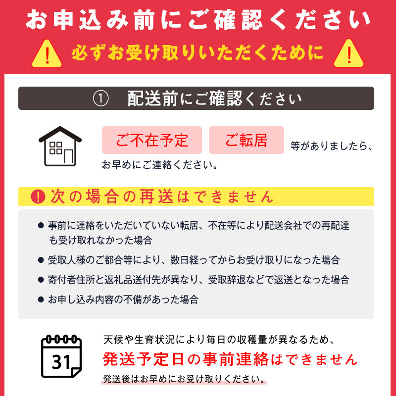 令和7年産 さくらんぼ「 佐藤錦 」500g (250g×2パック) 秀品 Lサイズ以上 2025年産 山形県産 山形産 【2025年6月上旬頃～下旬頃発送予定】　012-A-AF020 500g (