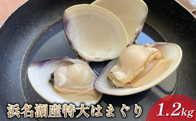 
浜名湖産 特大はまぐり 1.2kg【配送不可：北海道・沖縄・離島】 [№5786-5151]
