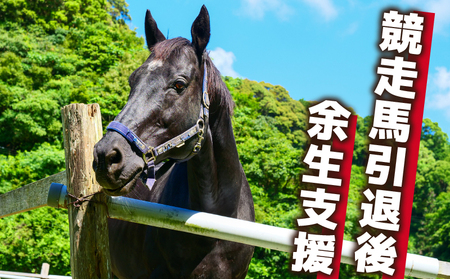 競走馬 支援 1万円 コース 引退場支援 引退馬 引退馬 引退馬 引退馬