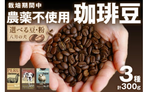 【自家焙煎 コーヒー豆】お試し3種＜スペシャルティコーヒー豆使用＞自家焙煎 コーヒー豆 お試しセット（100gx3種）栽培期間中農薬不使用 ー焙煎珈琲専門「八月の犬」ー 　品種：ペルー産 コーヒー豆／ホンジュラス産 コーヒー豆／コロンビア産 コーヒー豆）　お試しコーヒー豆　飲み比べコーヒー豆 　HA00001