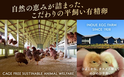井上さん家 こだわりたまご 平飼い有精卵さがみっこ《かながわブランド認定》10個入り×2パック 計20個 ｜ 神奈川県相模原市産 たまご 卵 鶏卵 玉子 たまご 生卵 平飼い ケージフリー 有精卵 国産 濃厚 コク 旨味 卵焼き たまごかけご飯 朝食 ご褒美 ※離島への配送不可